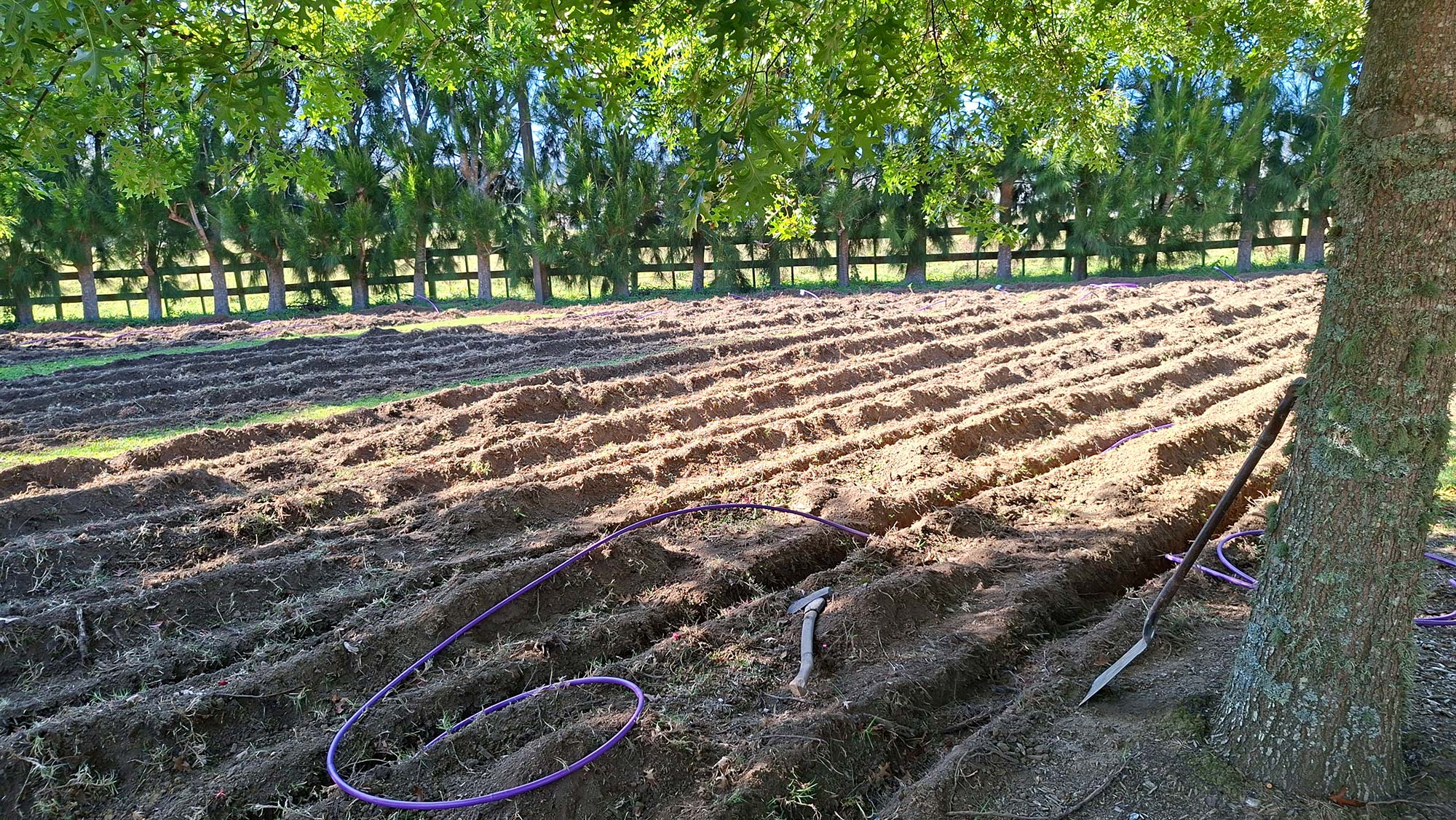 Upgraded Wastewater with Building Consent